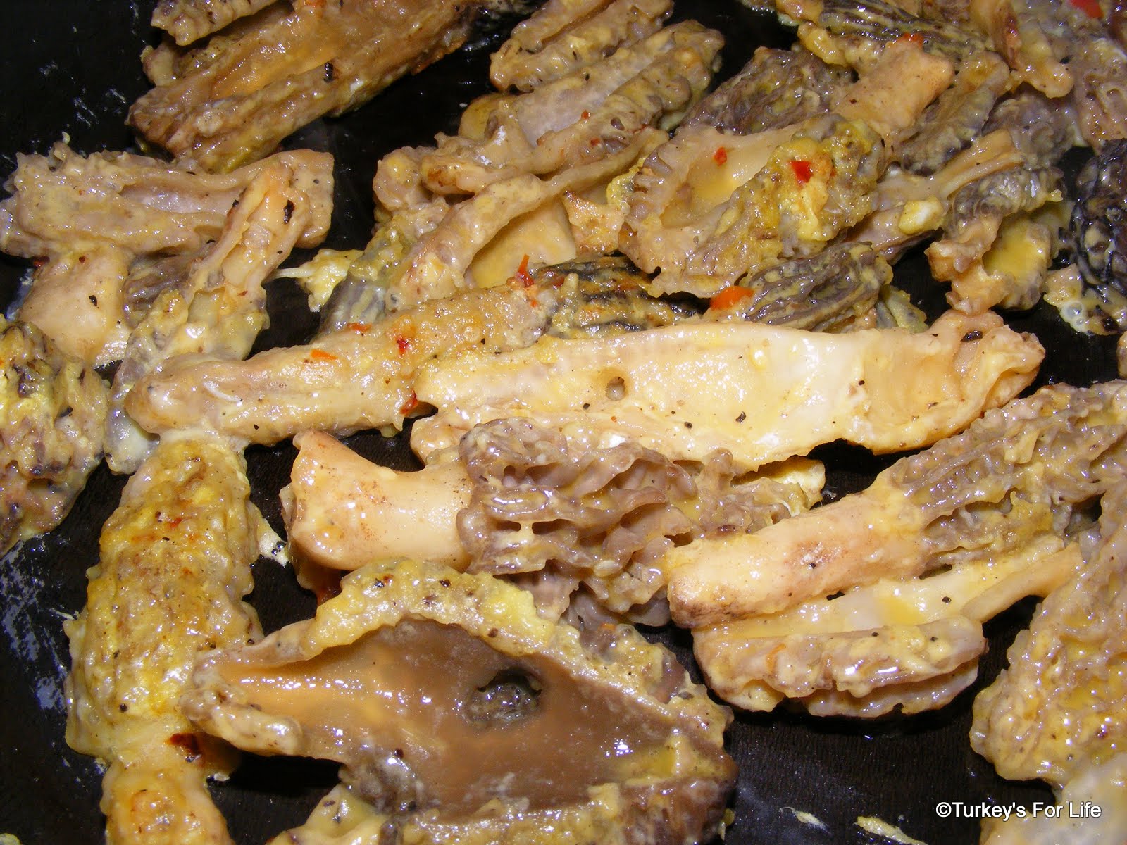 Morel Mushroom Recipes