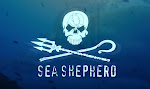 Sea Shepherd