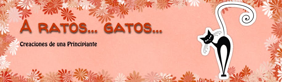 A ratos... gatos...