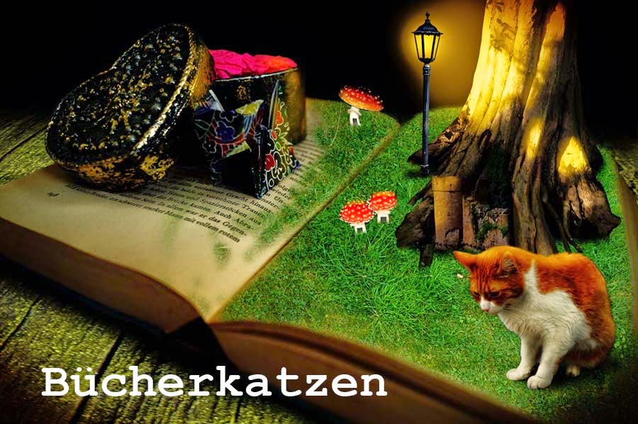 Bücherkatzen