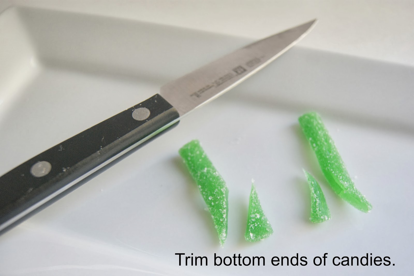 michelle paige blogs Reindeer Bugle Bites