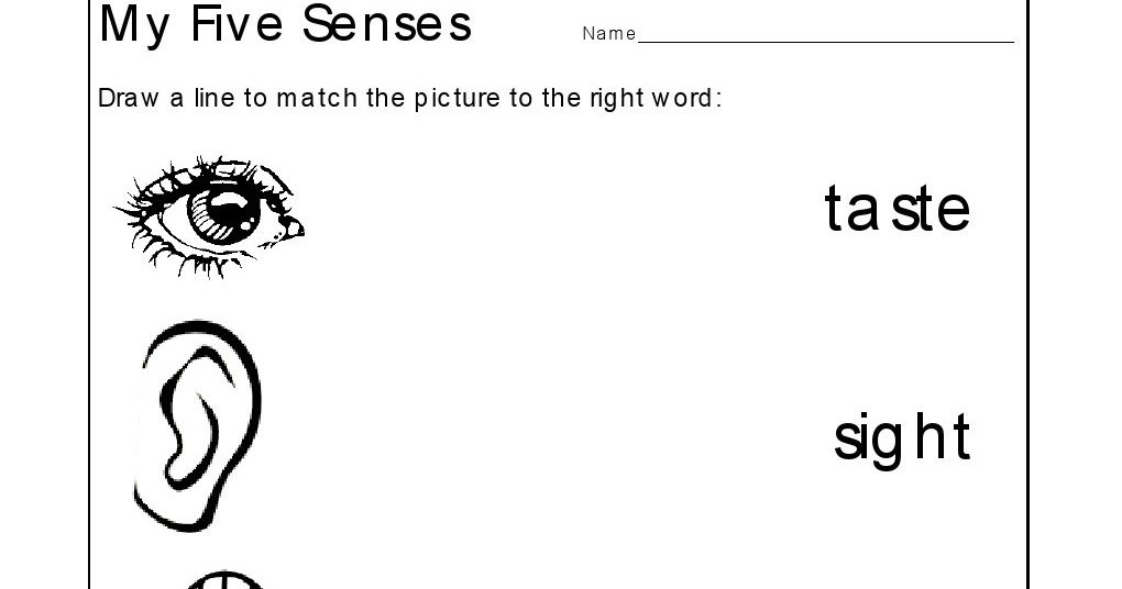 Kindergarten Worksheets: Kindergarten Worksheets - The 5 Senses Worksheets