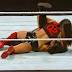 Nikki Bella vs. Aksana - Divas Action WWE SmackDown - January 2014