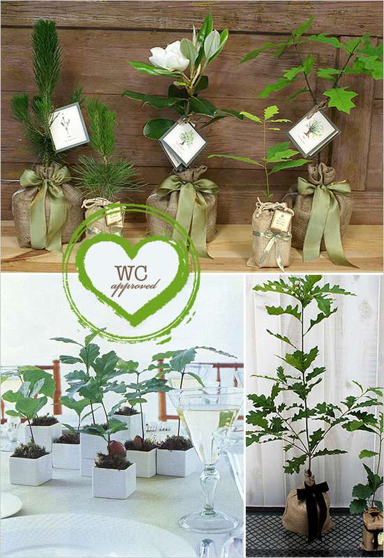 LQ Designs Plant a Tree Wedding Favors