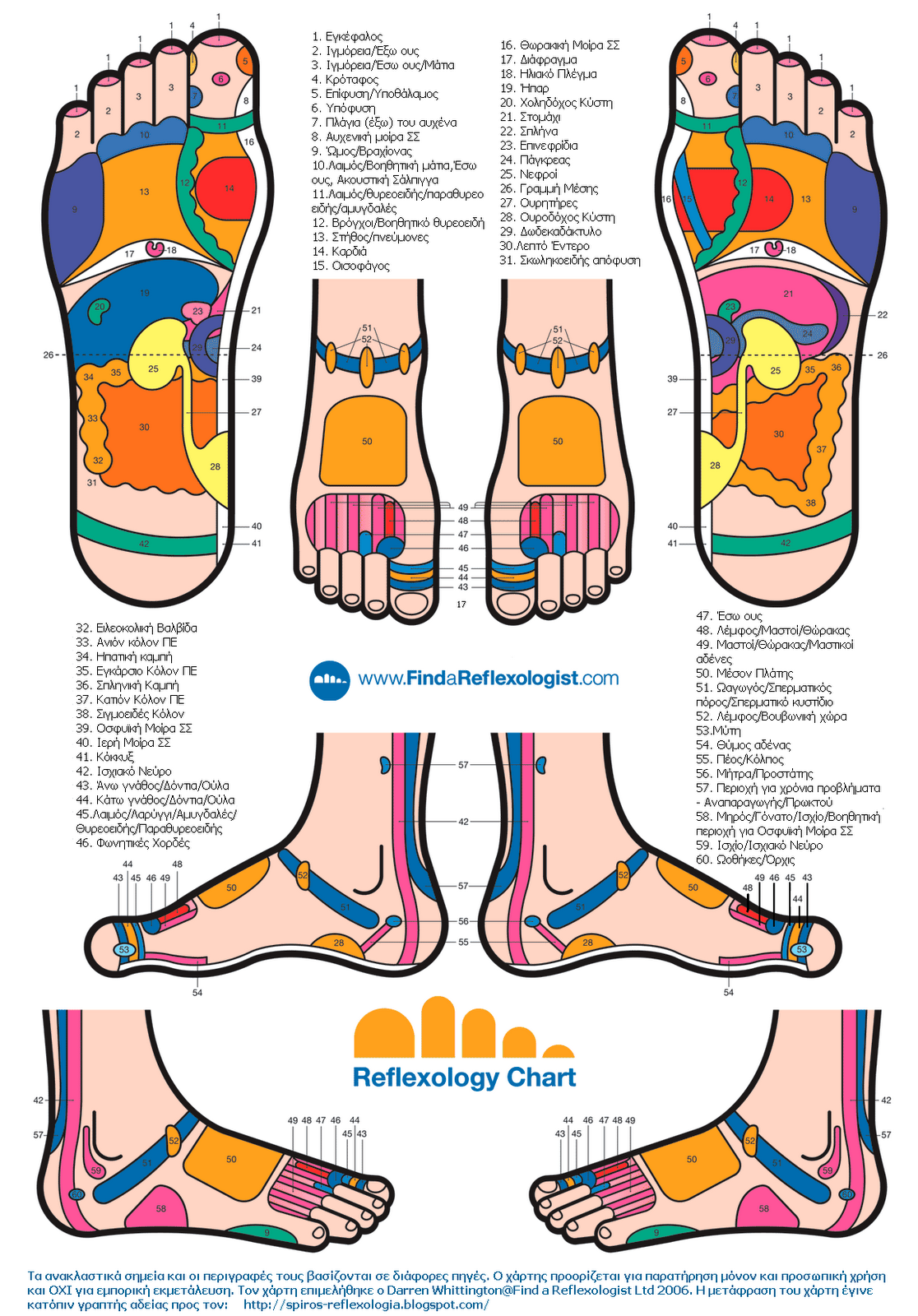 ΕΛΛΗΝΕΣ ΡΕΦΛΕΞΟΛΟΓΟΙ GREEK REFLEXOLOGISTS Χάρτης Ρεφλεξολογίας