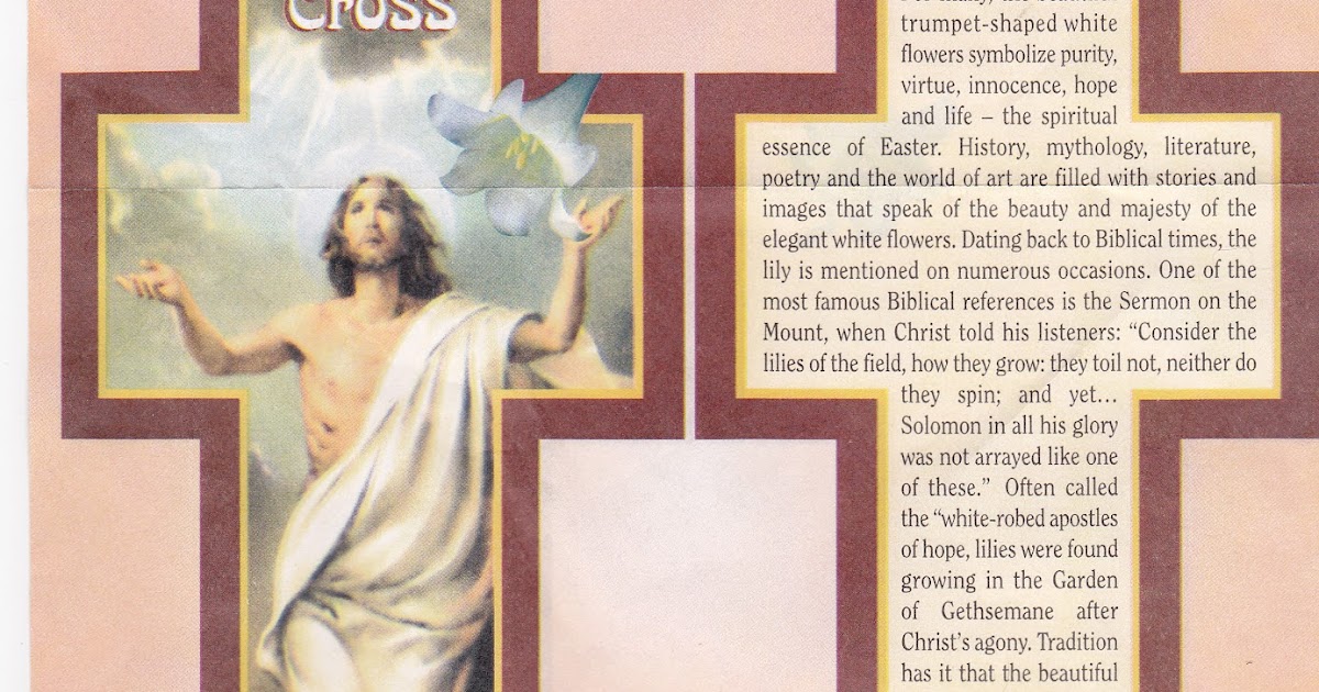 Amazing GraceMy Chains are About the Easter Lily