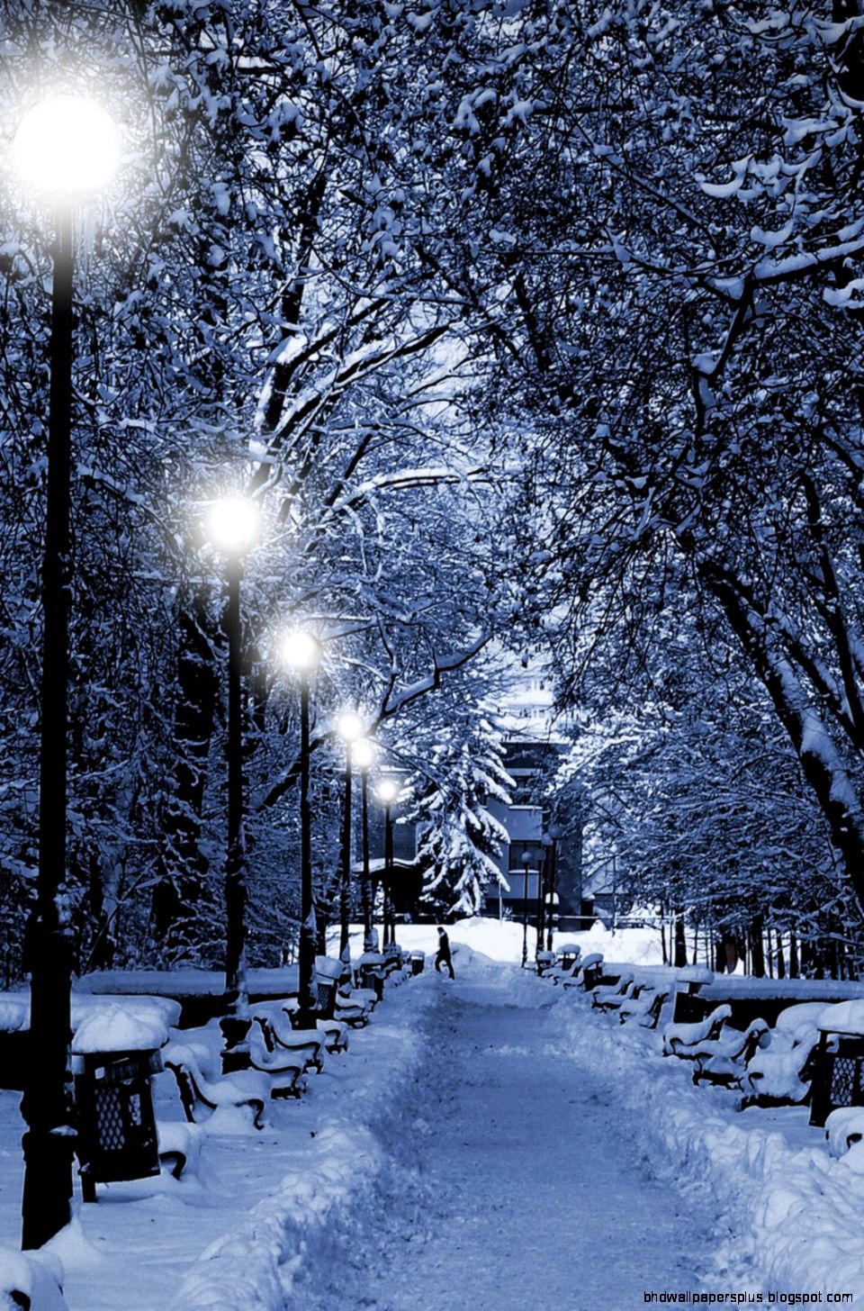 Winter Snow Night Winter Snow Night