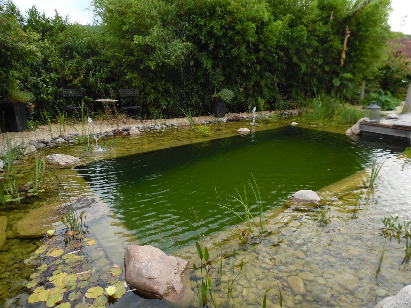 Le petit jardin de Chloé Les jardins d'eau de Carsac  Unique en Périgord