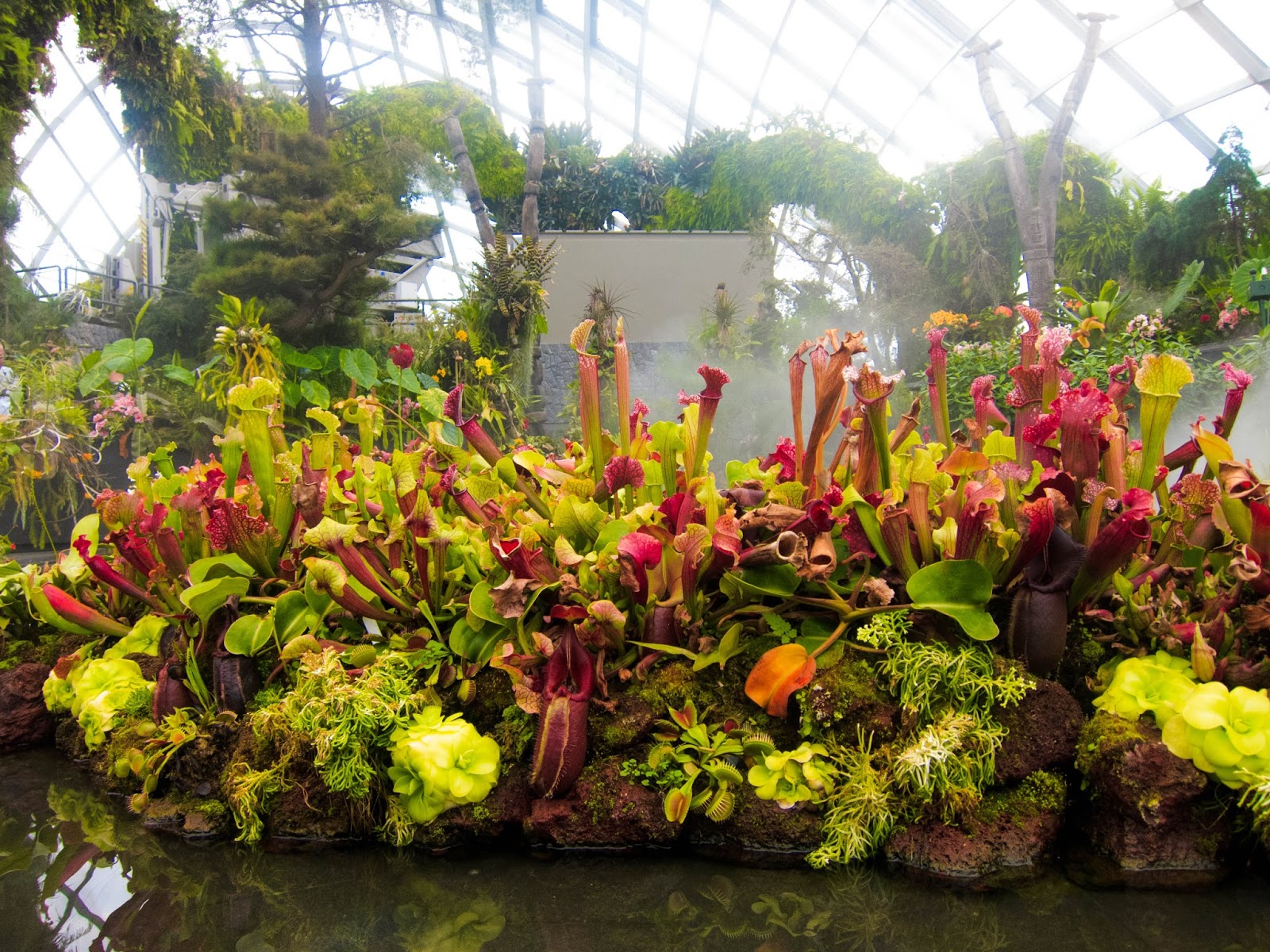 Svelte salivations Singapore Gardens by the Bay and Marina Bay Sands