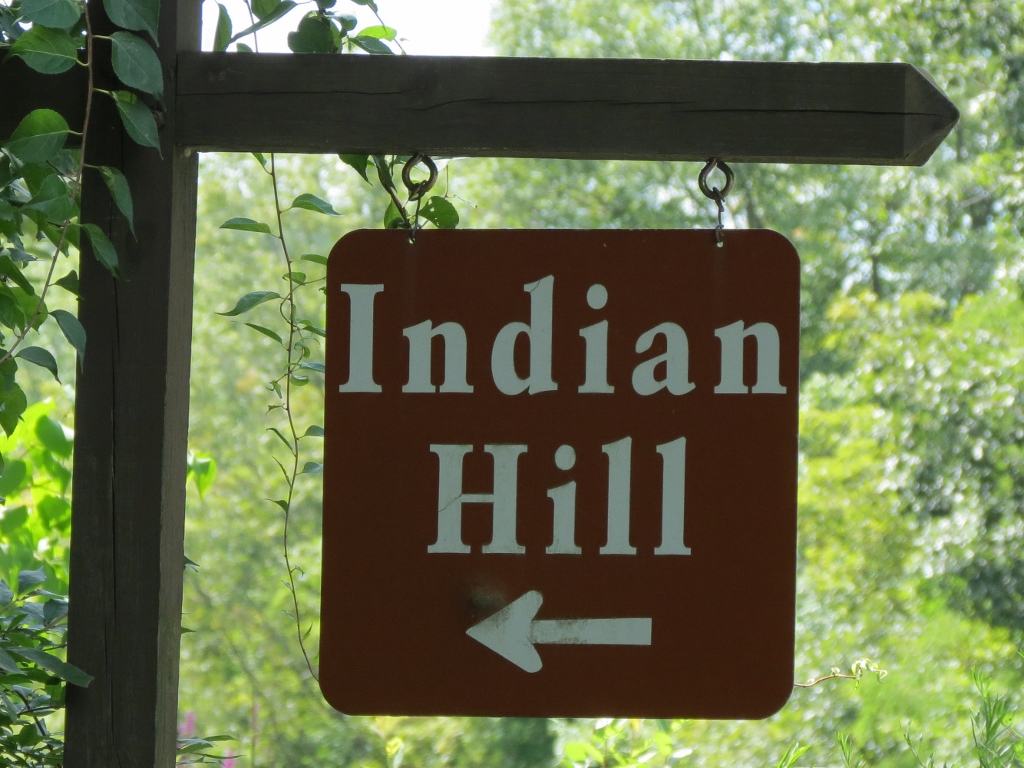 sterling forest hindu single women Who said women aren't funny fighting inequality in the entertainment world - single all the way (2015) mindy kaling 2015/ii the night before sarah. sterling forest hindu single women Who said women aren't funny fighting inequality in the entertainment world - single all the way (2015) mindy kaling 2015/ii the night before sarah.