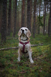 Väle Sitikas Triinu alias Tessy