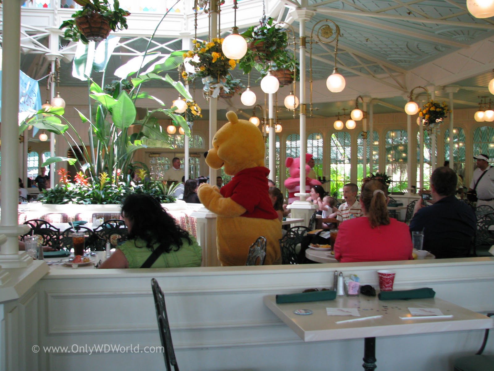 Disney World Character Dining Magic Kingdom's Crystal Palace Disney