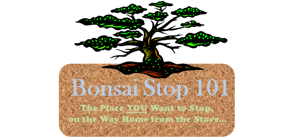 Bonsai Stop 101