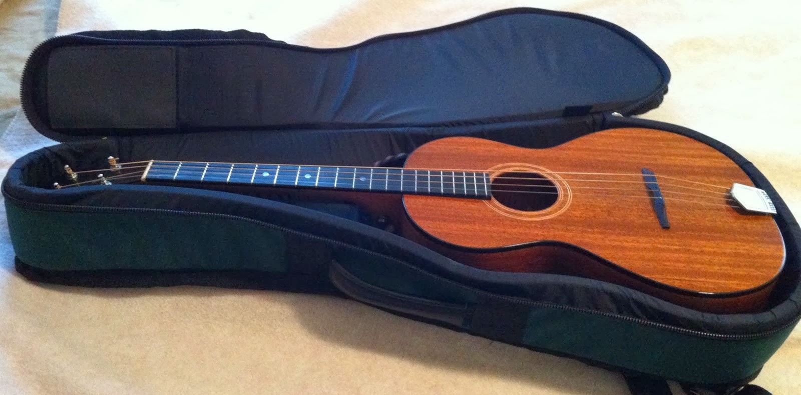 tenor guitar case