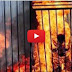 شاهد بالفيديو خطير جداً صور اعدام الطيار الاردني حرقاً على يد الدولة الاسلامية "داعش" !!