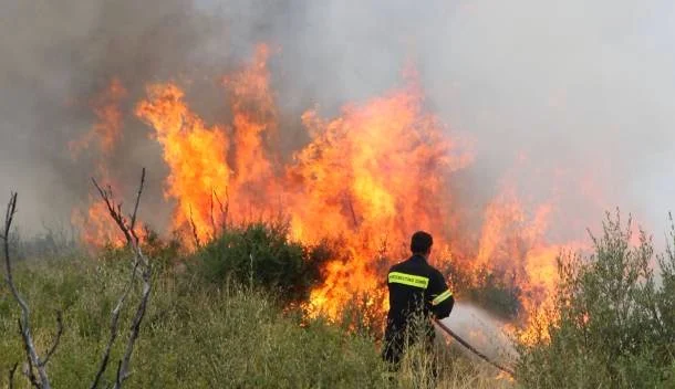 Εύβοια: Πυρκαγιά στη Νεροτριβιά!