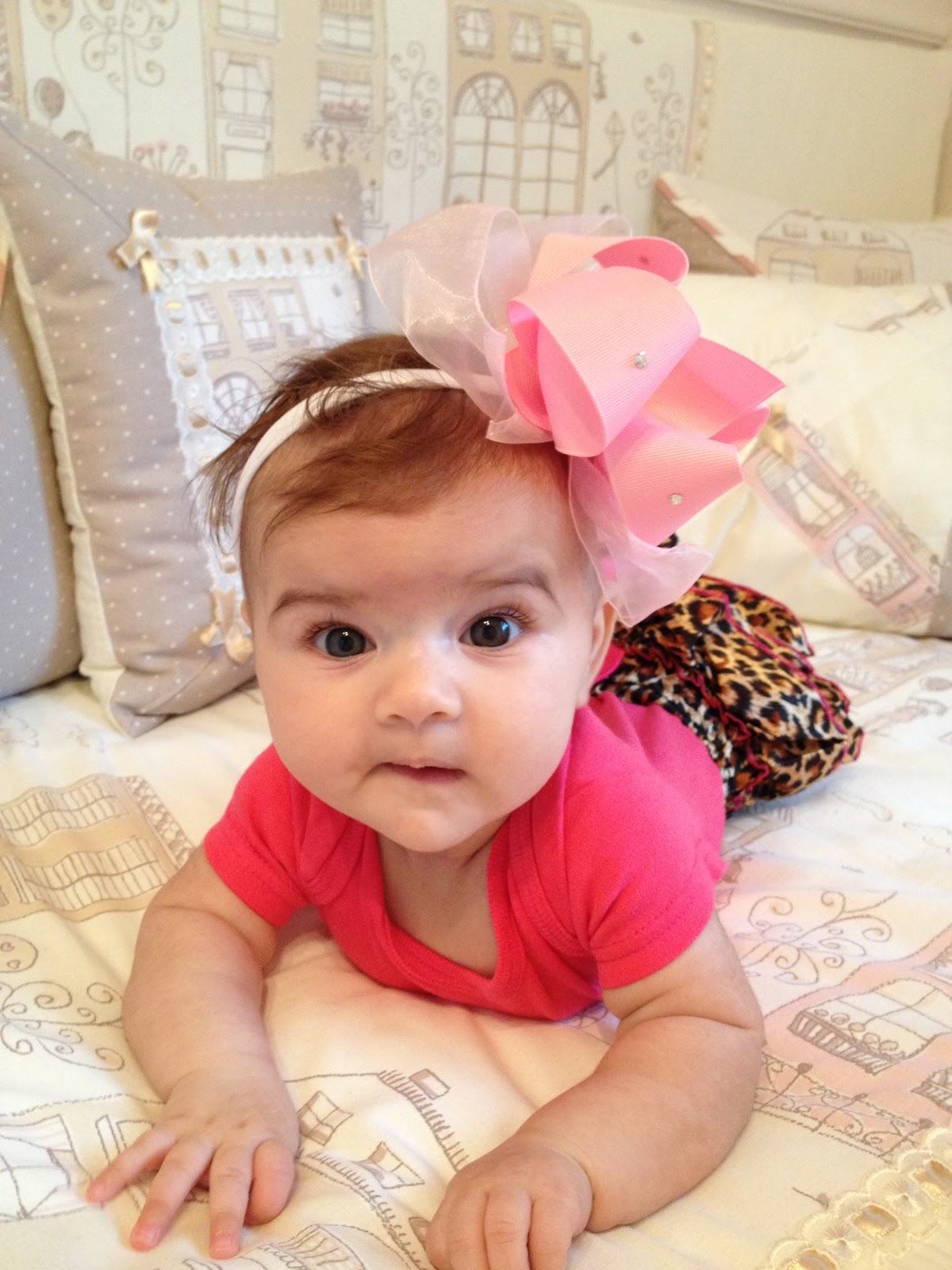 Bir kokoşluk hikayesi Fotoğraf çekmeye bayılıyoruz