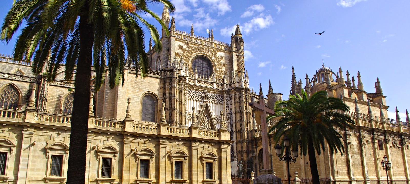 Travels Far And Near January 2015