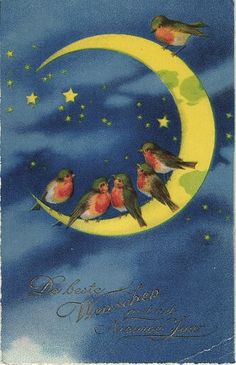 Moon BIrds