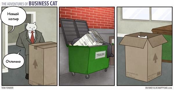 Бизнес кот. Новый копир