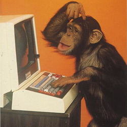 monkey+computer.jpg