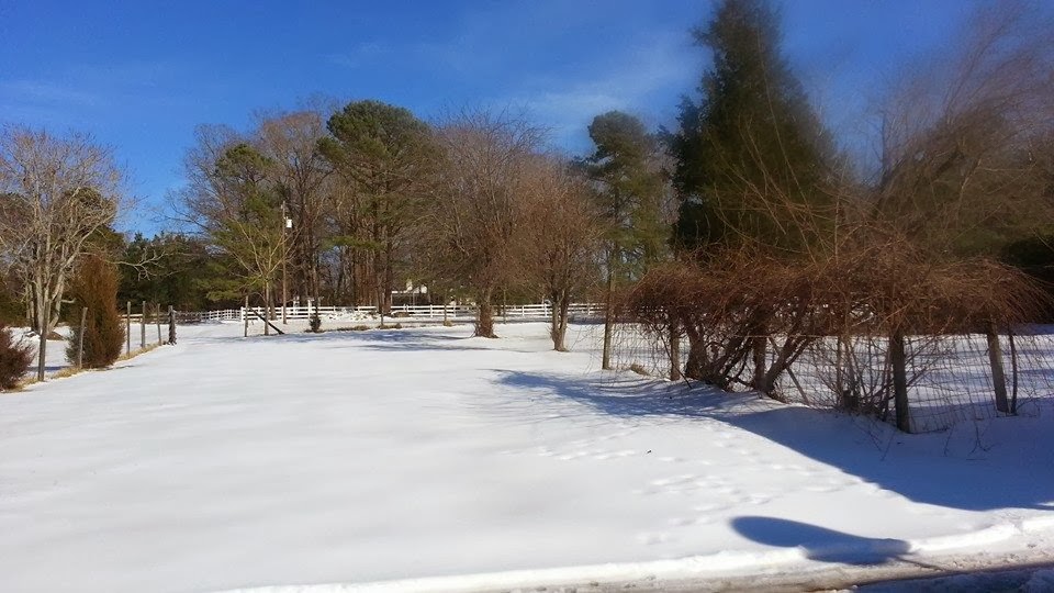 s Record Snowfall in North Carolina