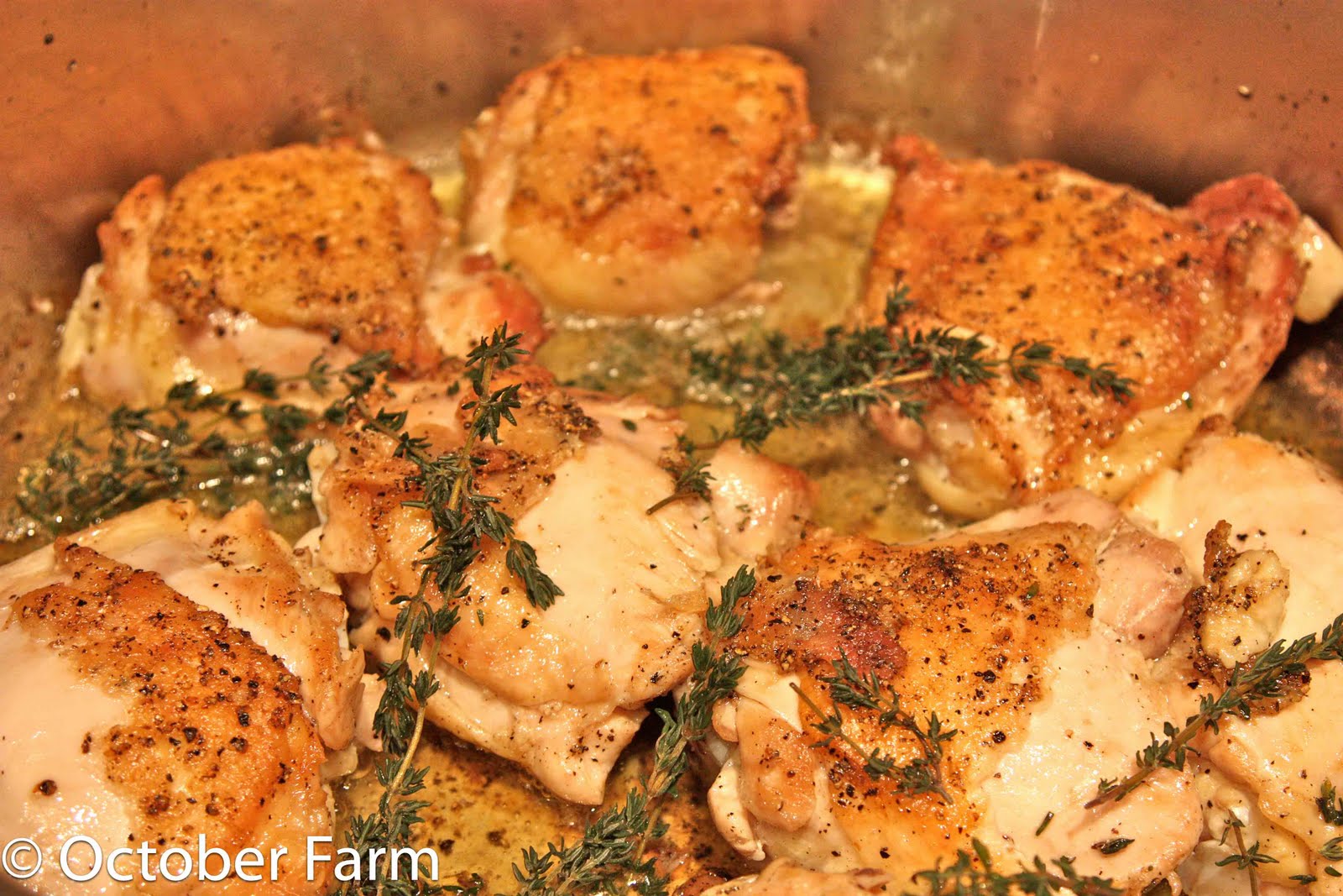 The Best Chicken You Will Ever Eat