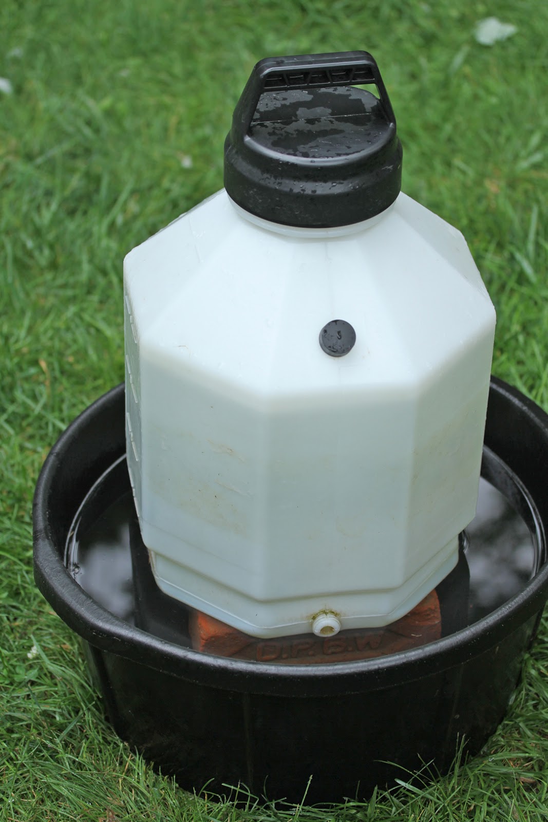 Makin' it with Frankie Watering Solution for Ducks