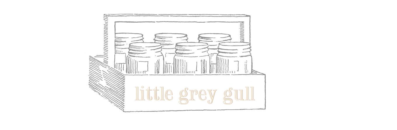 little grey gull