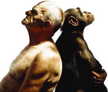 homem-e-macaco.jpg