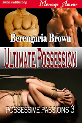 Possessive Passions book 3