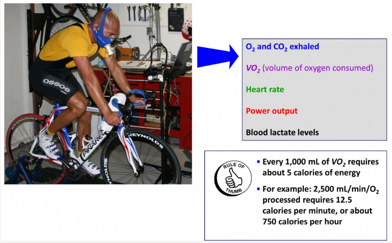 Dr Peter Attia analyzing protein intake data
