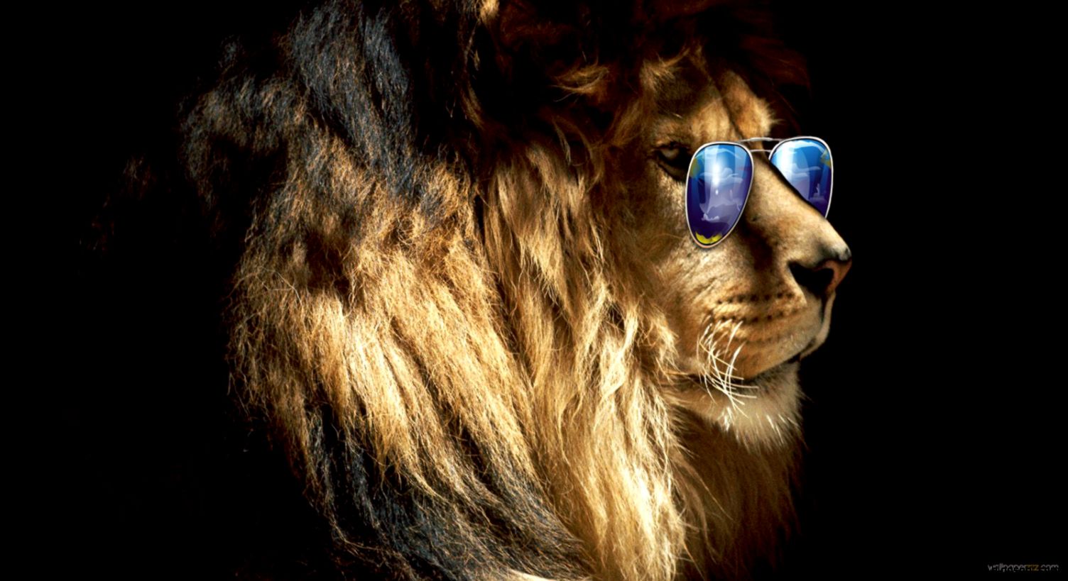 3D Lions Wallpaper Download 3D Lions Wallpaper Download