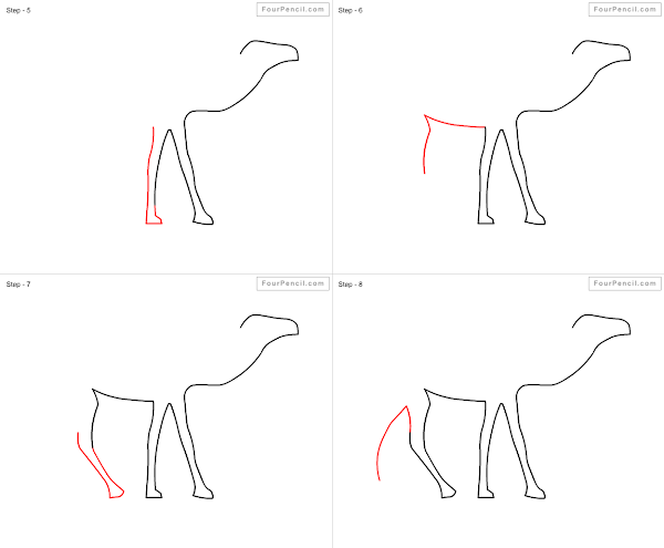 How to draw Camel - slide 2
