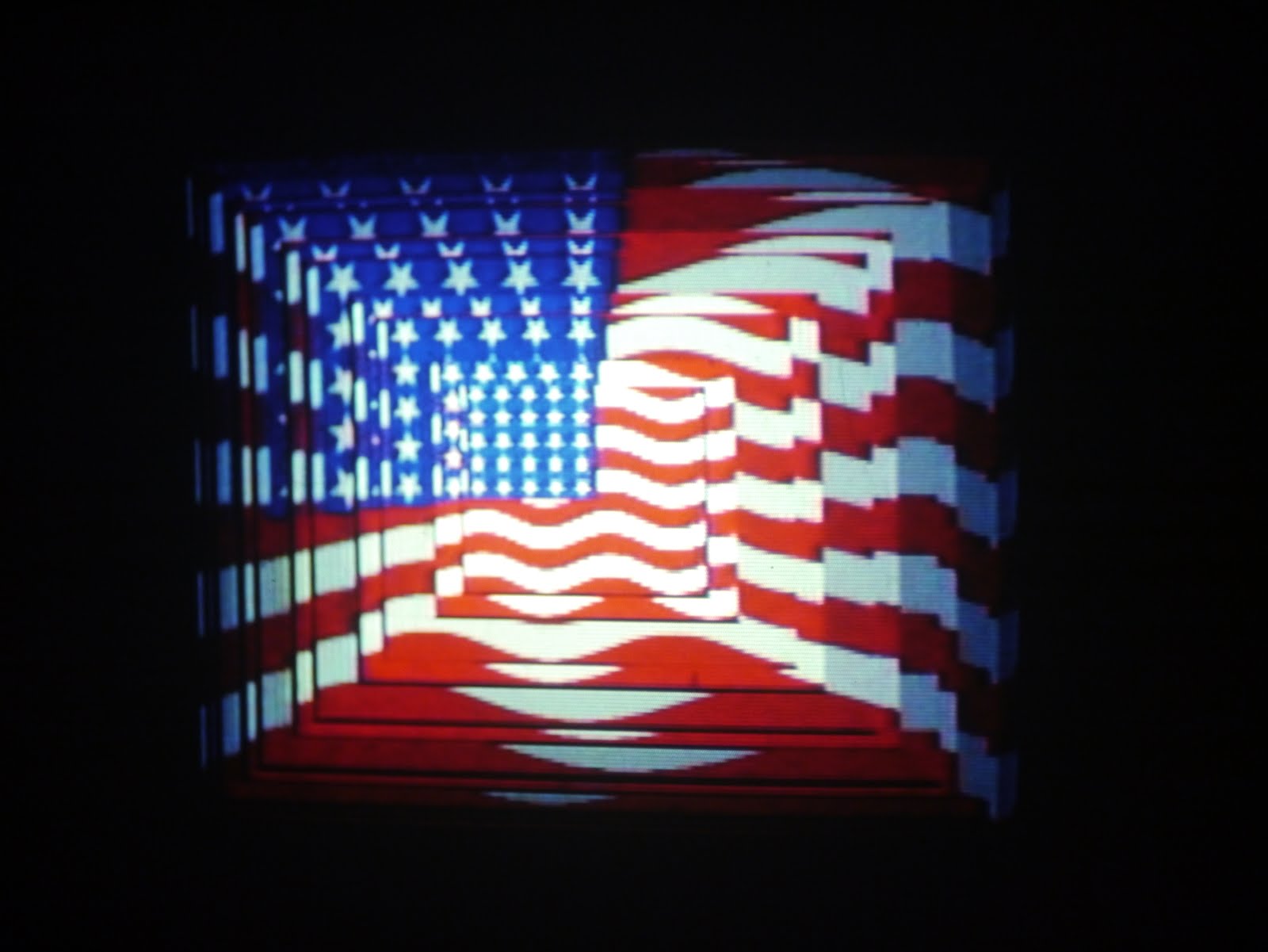 Veterans Day Flag