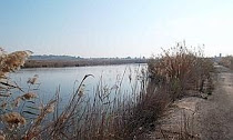 LAS LAGUNAS DE CAMPOTEJAR