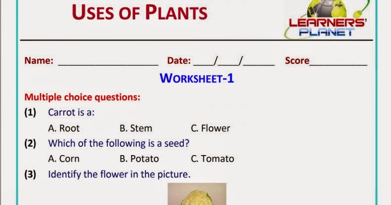 essay on plants for grade 2 essay on plants for grade 2