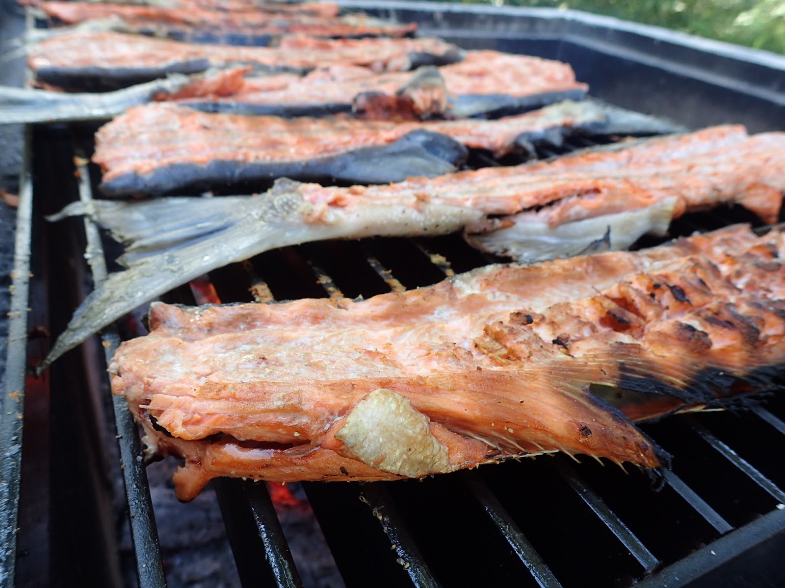 The Baked Alaska Project How to Grill Salmon Carcasses