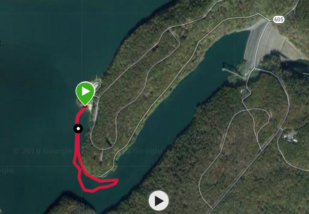 Cort the Sport Lake Moomaw Open Water Swim