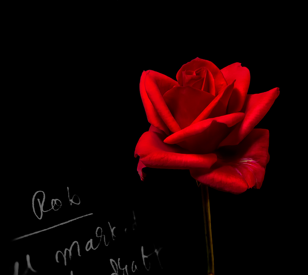 Mini Competition #1077