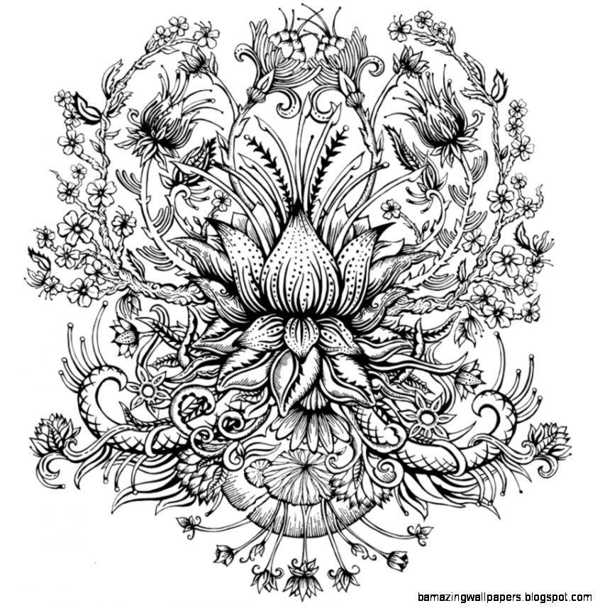 35 Beautiful Flower Drawings and Realistic Color Pencil Drawings 35 Beautiful Flower Drawings and Realistic Color Pencil Drawings