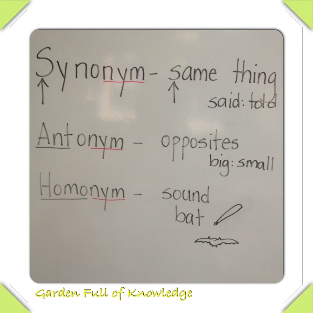 Synonyms, Antonyms, & Homonyms Craftivity Garden Full of Knowledge