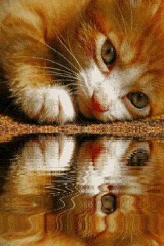 water image horizontal plane in reasoning gr8ambitionz