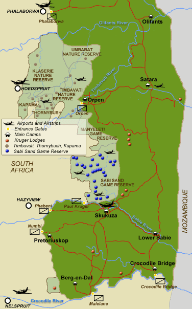 The Holiday Zebra: Wild Safaris in Mpumalanga Province