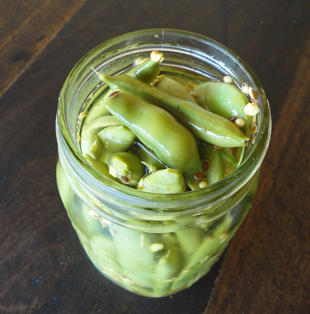 Judy's Good Food Blog Quick & Easy Pickled Vegetables