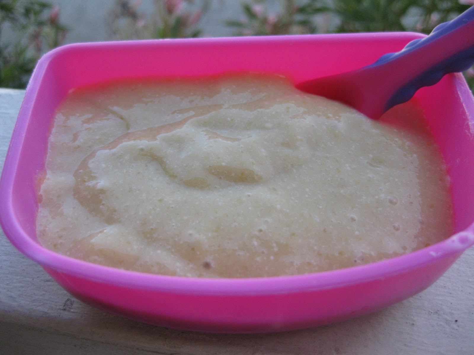 Vegan Mommy Chef Homemade Vegan Yogurt Rice, Hemp, Coconut, or Oat Milk