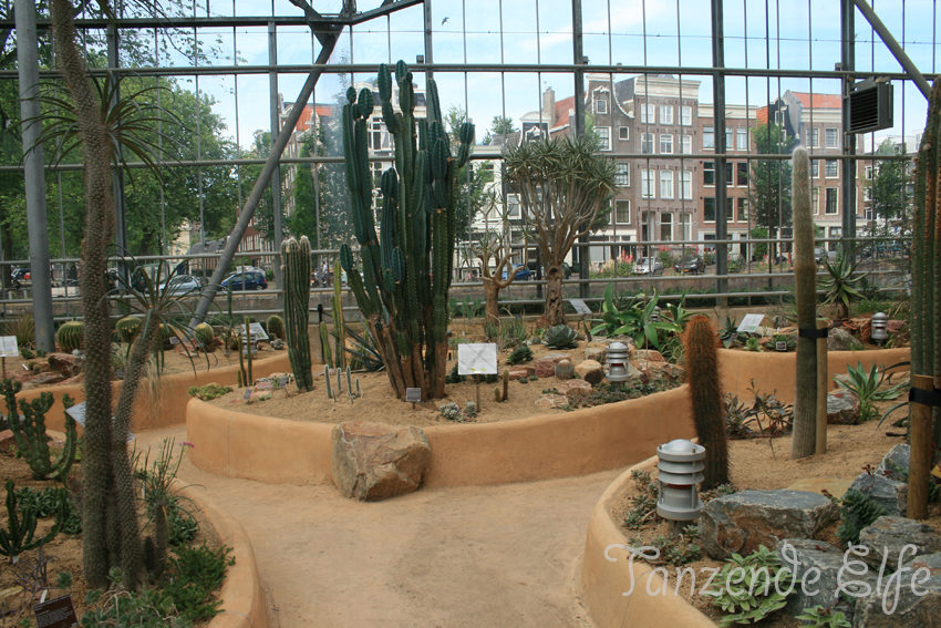 Tanzende Elfe Amsterdam No.2 Botanischer Garten