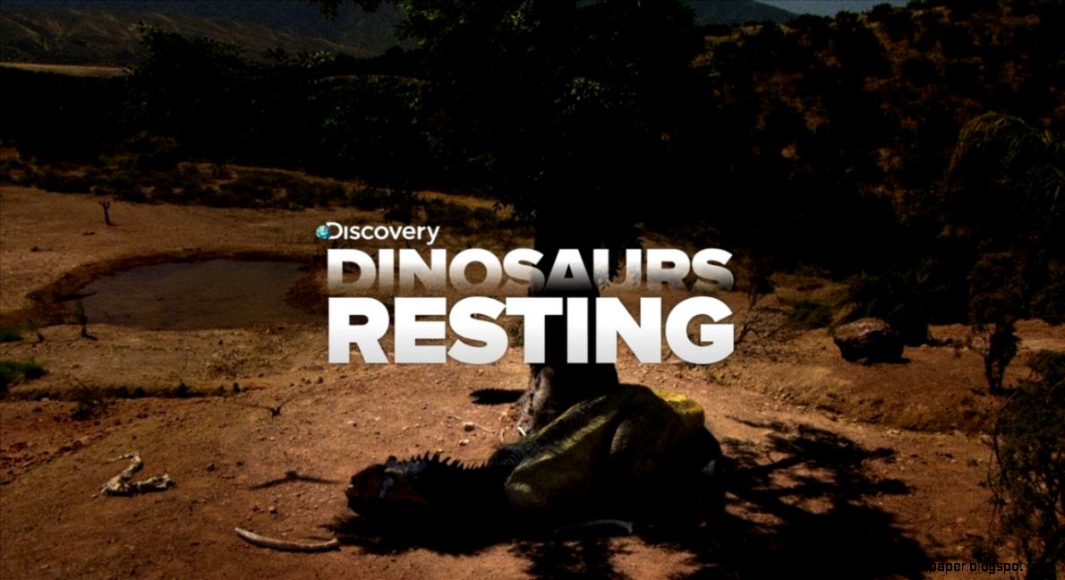 SO CUTE Sleeping Dinosaurs YouTube SO CUTE Sleeping Dinosaurs YouTube