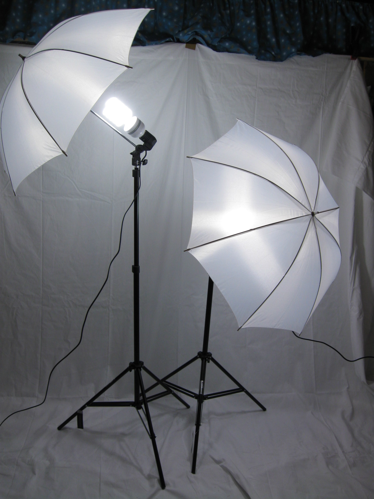 Forever Head Over Heels Lights ,camera , photo shoot