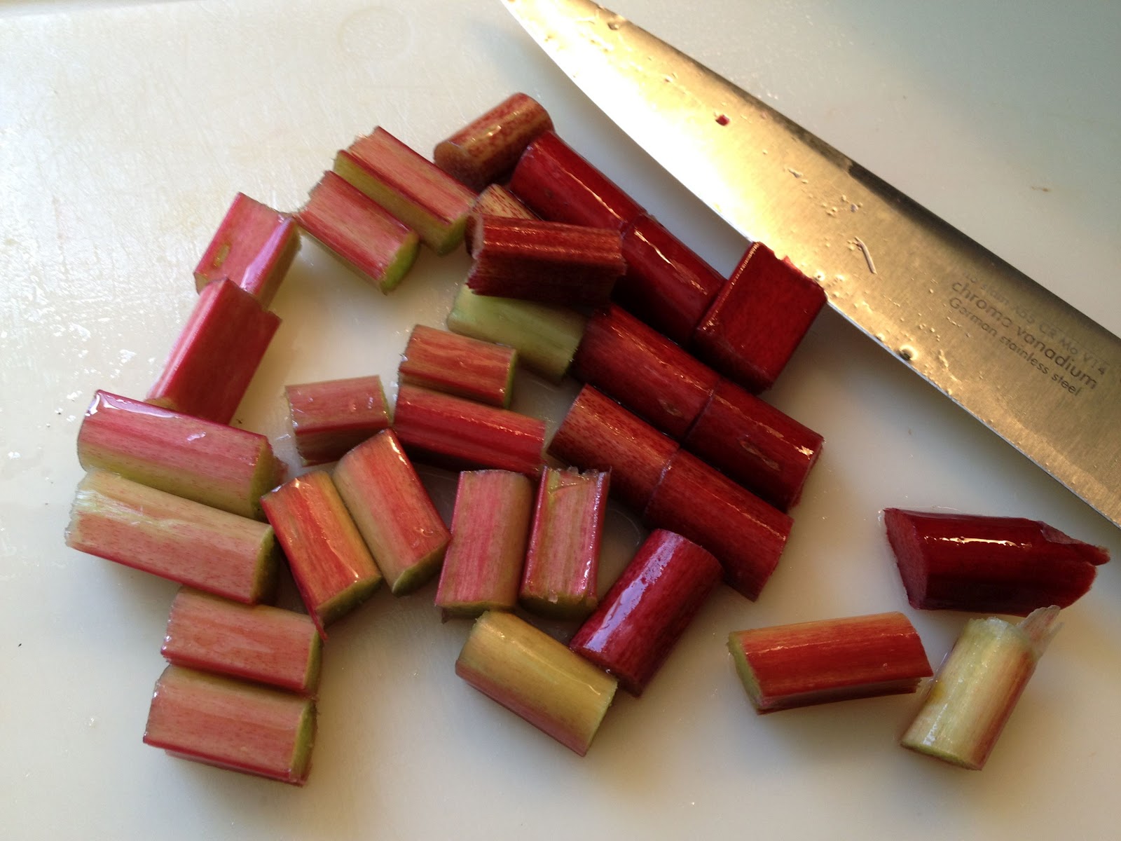 Zombie Apocalypse Survivor Dehydrating Foods for Survival in a Zombie